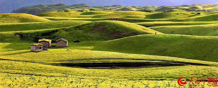 Morning view of Qiongkushitai Grassland