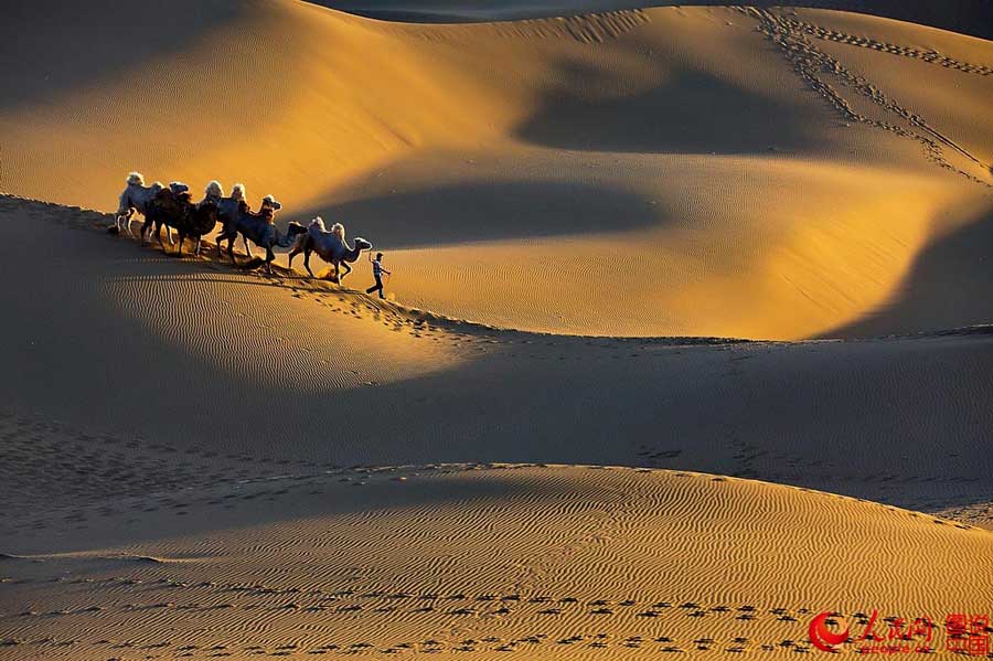 When camel bells ring in Kumtag Desert

