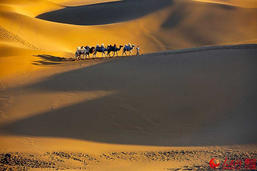 When camel bells ring in Kumtag Desert

