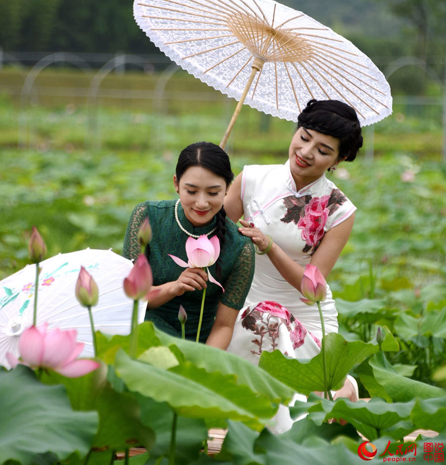 Cheongsam show held in lotus park in Zhejiang