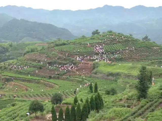 Thousands of people flood into a small village for treasure digging