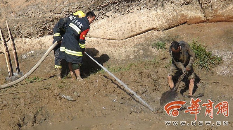 Firefighters salvage donkeys stuck in mud