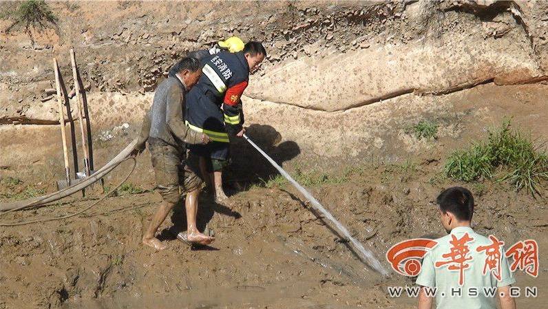 Firefighters salvage donkeys stuck in mud