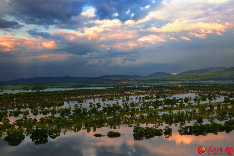 Intoxicating scenery of Nanhu Wetland