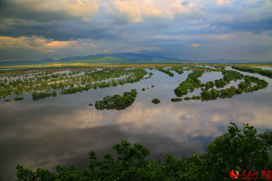 Intoxicating scenery of Nanhu Wetland