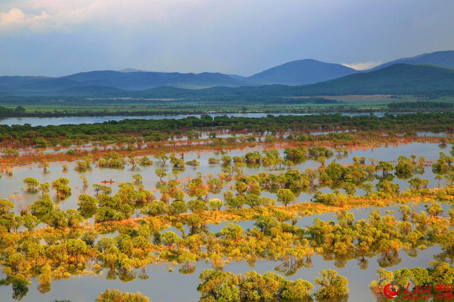 Intoxicating scenery of Nanhu Wetland