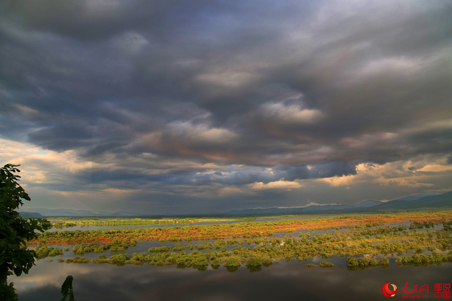 Intoxicating scenery of Nanhu Wetland