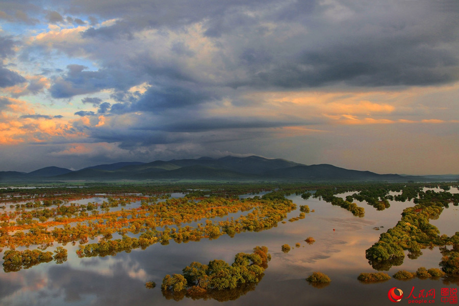 Intoxicating scenery of Nanhu Wetland