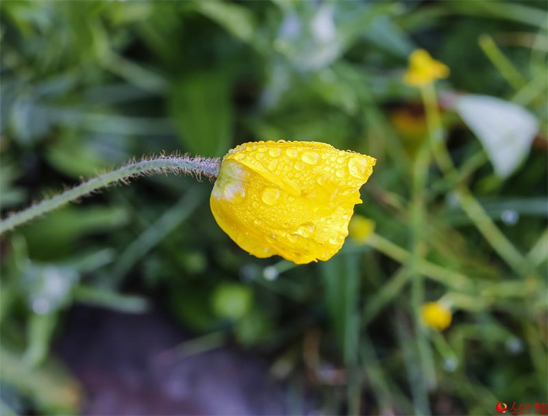 Breathtaking scenery of Luya Mountain Scenic Spot