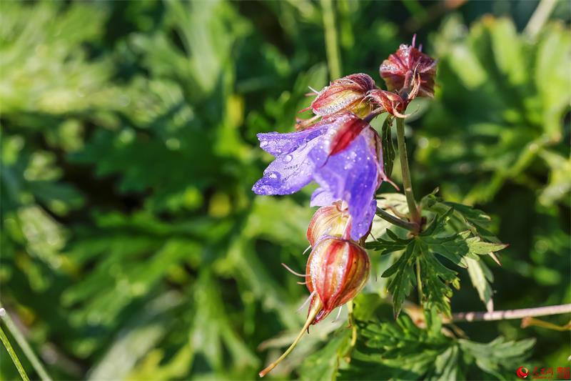 Breathtaking scenery of Luya Mountain Scenic Spot