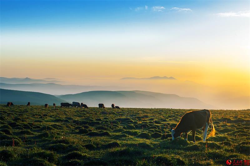 Breathtaking scenery of Luya Mountain Scenic Spot