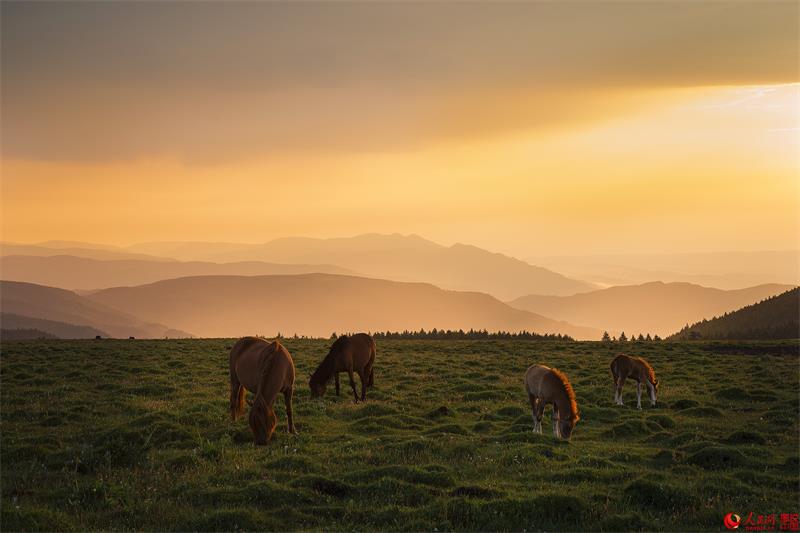 Breathtaking scenery of Luya Mountain Scenic Spot
