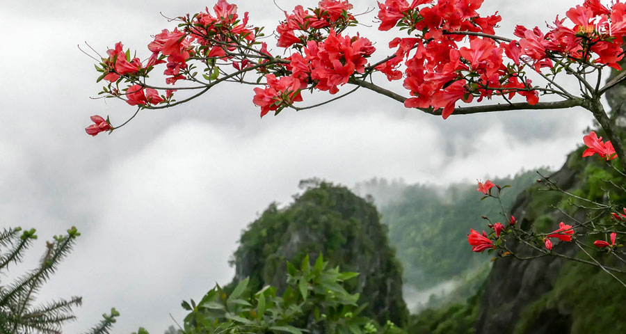Peaceful fairyland in SE China - Chenqiao village 