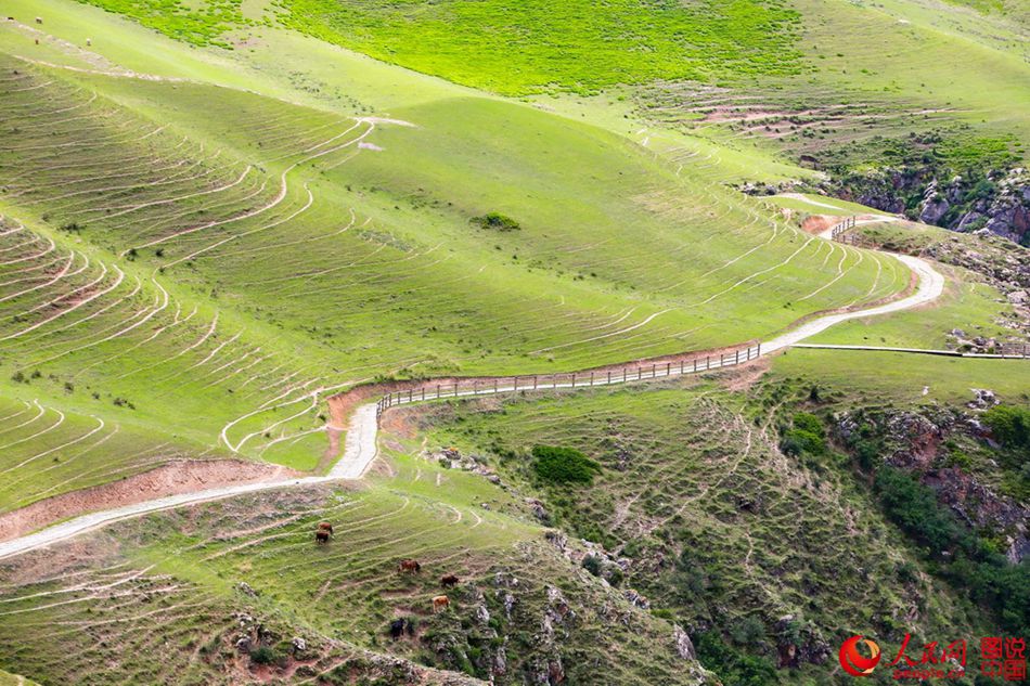 Fascinating scenery of Kuokesu Grand Canyon in NW China