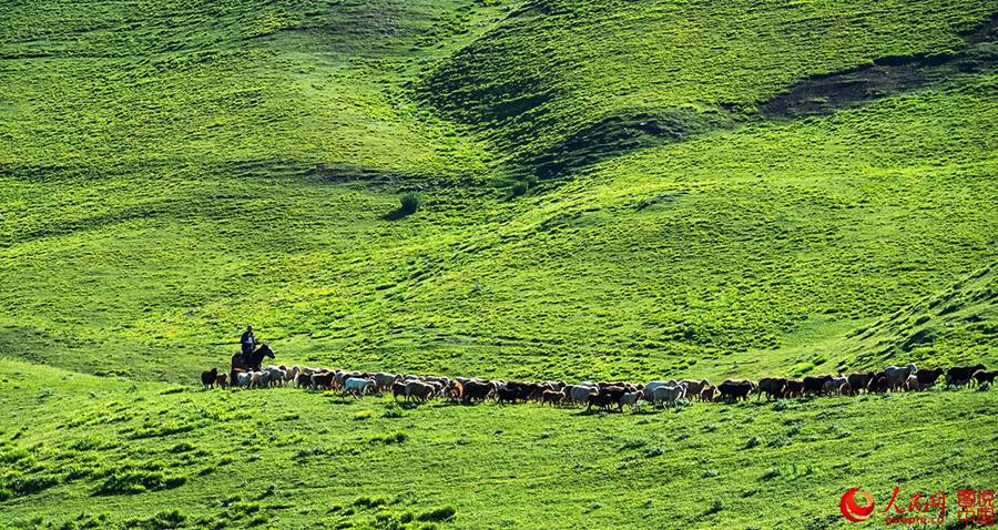 Idyllic grassland prairie in Xinjiang