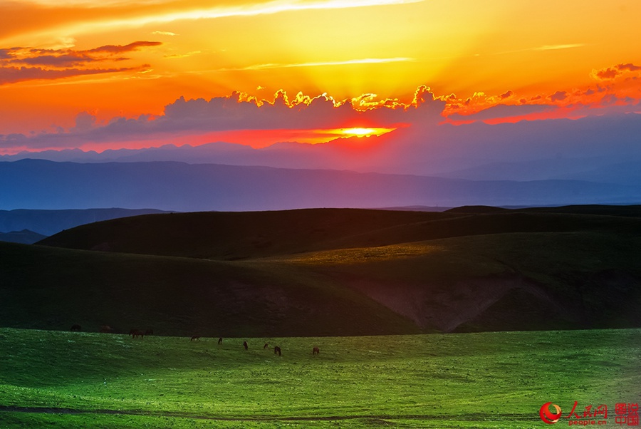 Idyllic grassland prairie in Xinjiang
