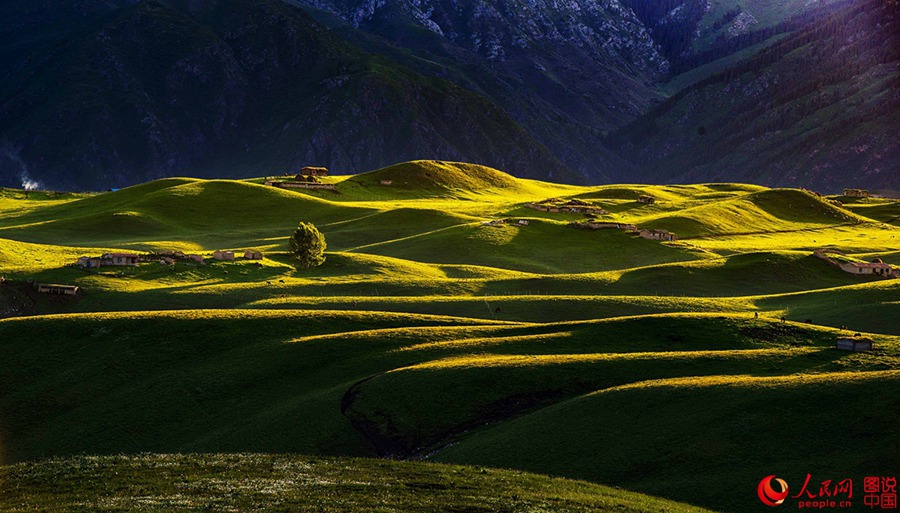 Idyllic grassland prairie in Xinjiang