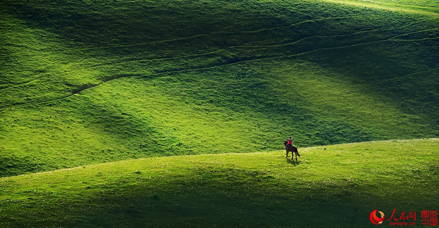 Idyllic grassland prairie in Xinjiang