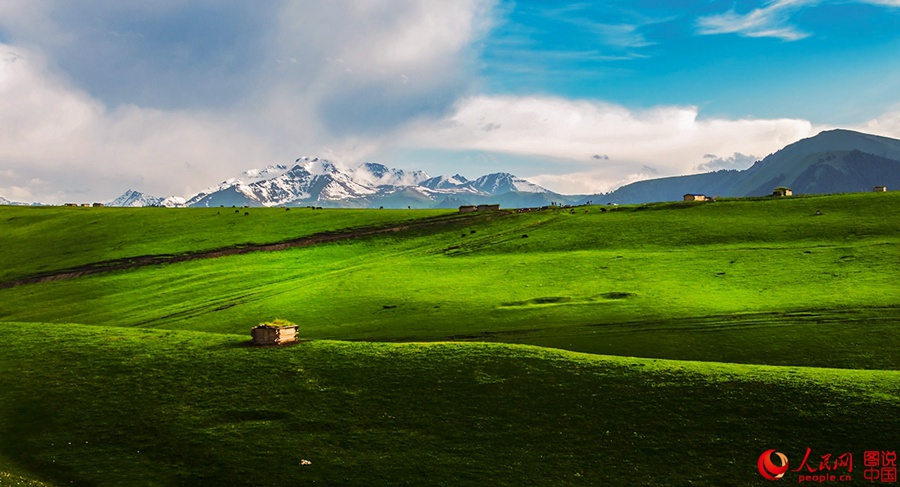 Idyllic grassland prairie in Xinjiang