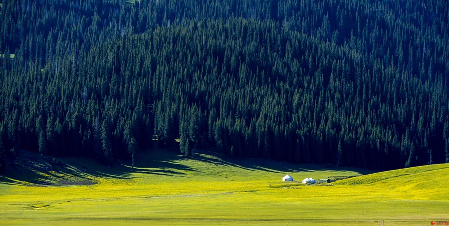 Idyllic grassland prairie in Xinjiang