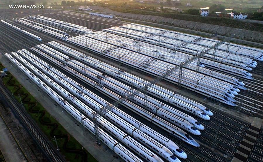 China has made great progress in overseas rail projects, says senior official