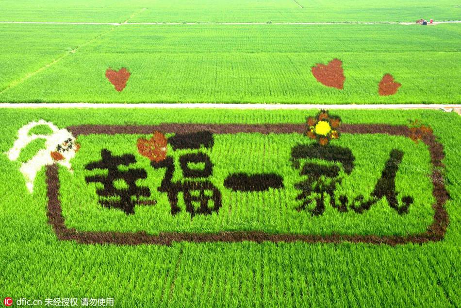 Impressive 3-D tanbo art cultivated in northeast China