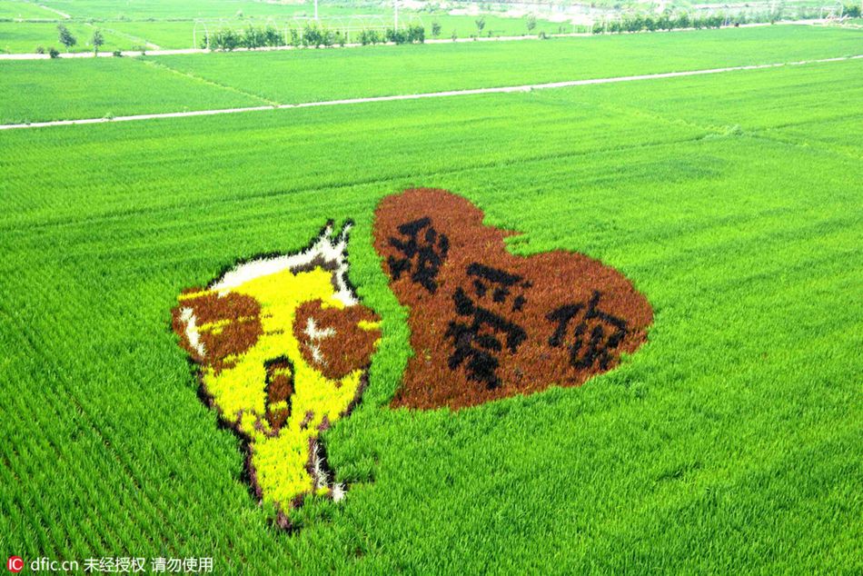 Impressive 3-D tanbo art cultivated in northeast China