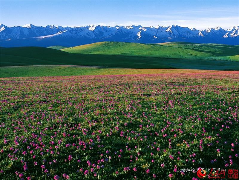 Beautiful Kalajun Prairie in Xinjiang