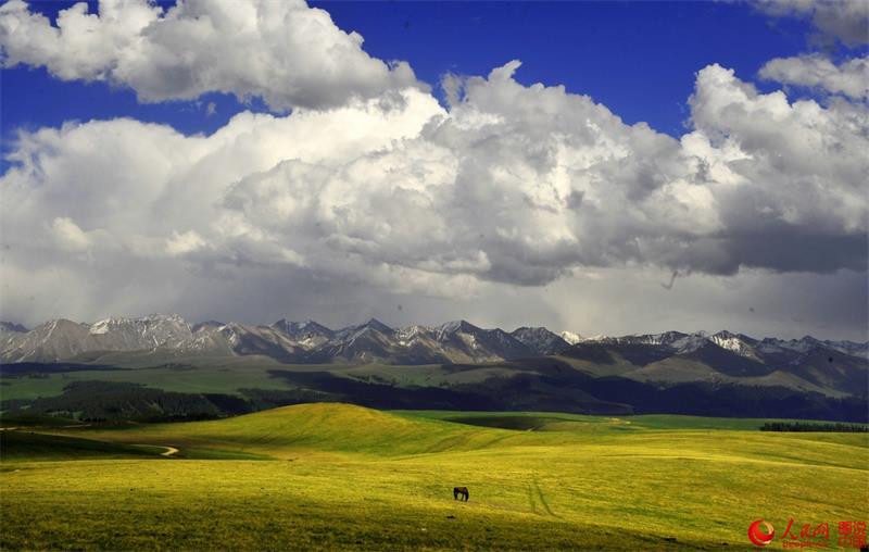 Beautiful Kalajun Prairie in Xinjiang