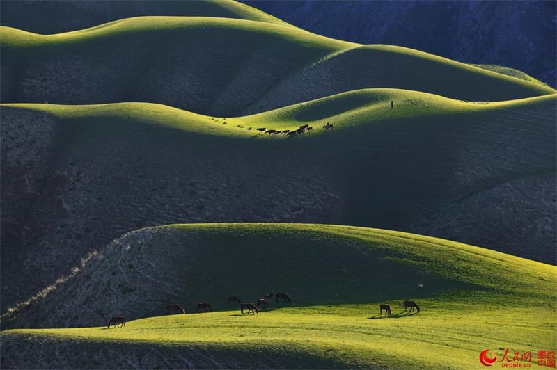 Beautiful Kalajun Prairie in Xinjiang