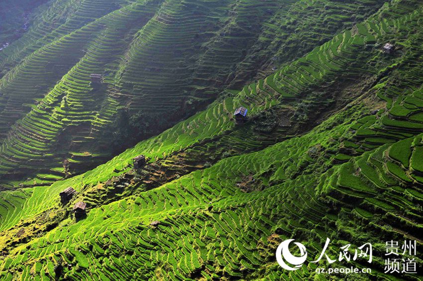 Picturesque scenery of Miao village in Guizhou