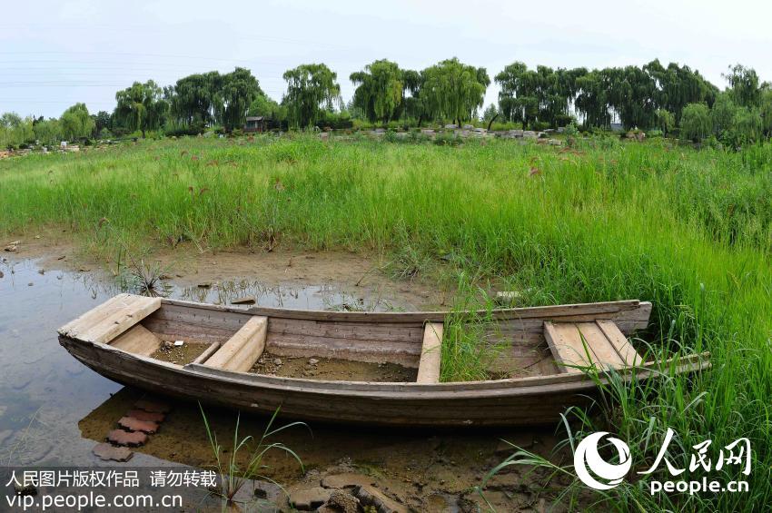 Drought continues in  Shandong