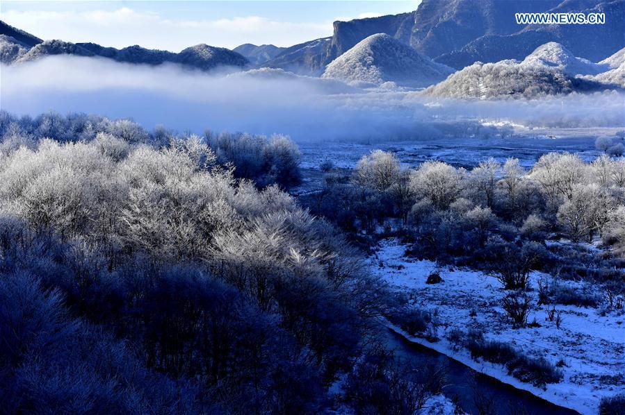 China to step up protection at Shennongjia UNESCO site