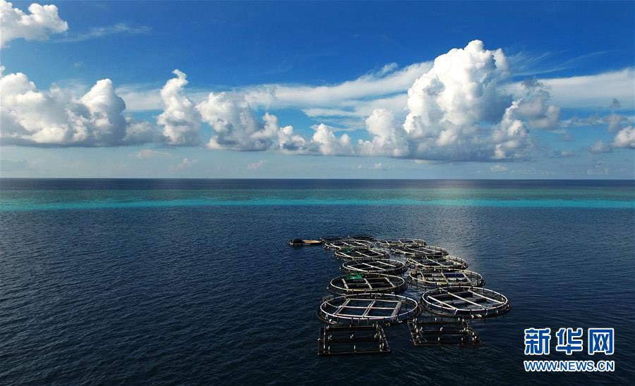 China's deep-sea fish farm in South China Sea
