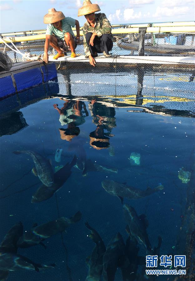 China's deep-sea fish farm in South China Sea