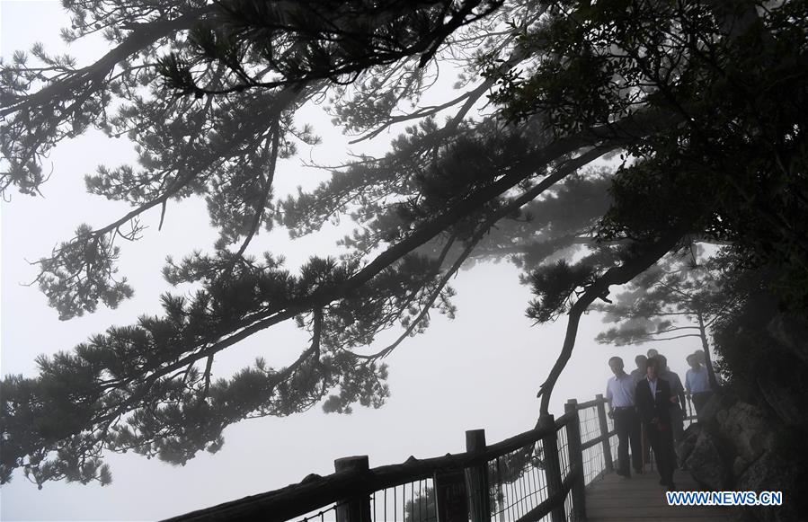 Tourists visit Laojieling scenic spot amid fog in Xixia County