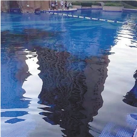 Residents pour ink into compound swimming pool to prevent outsiders from using it