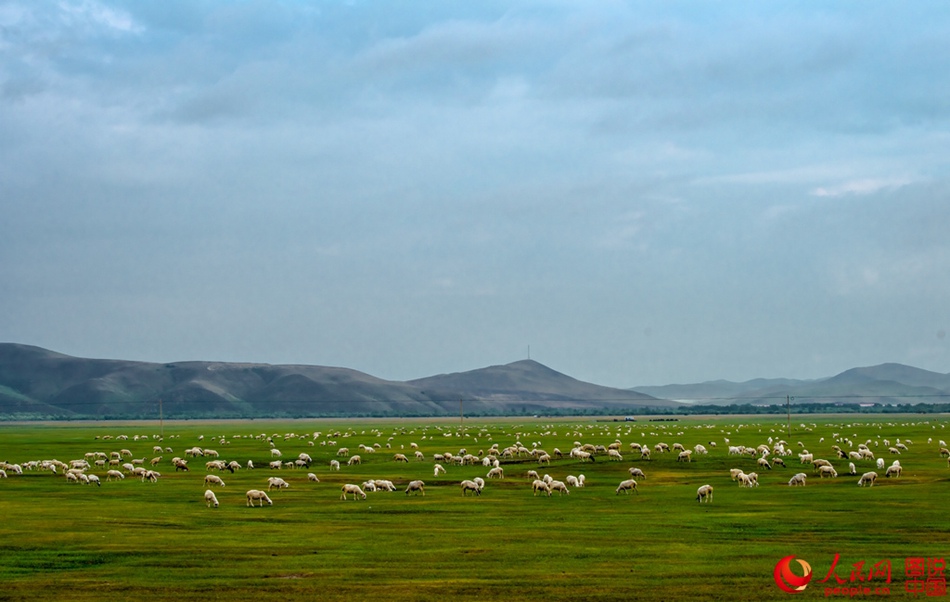Breathtaking scenery of Hulun Buir grassland