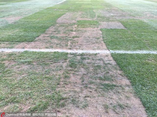 Bird’s Nest says pitch condition fine, not cause for cancellation of Manchester derby