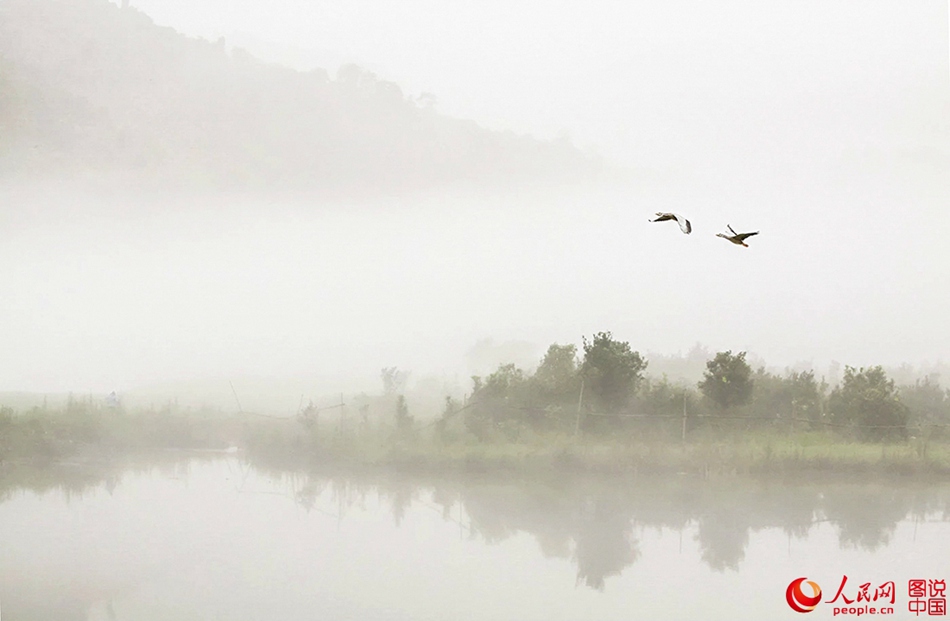 Xin'an River shrouded in mist before dawn