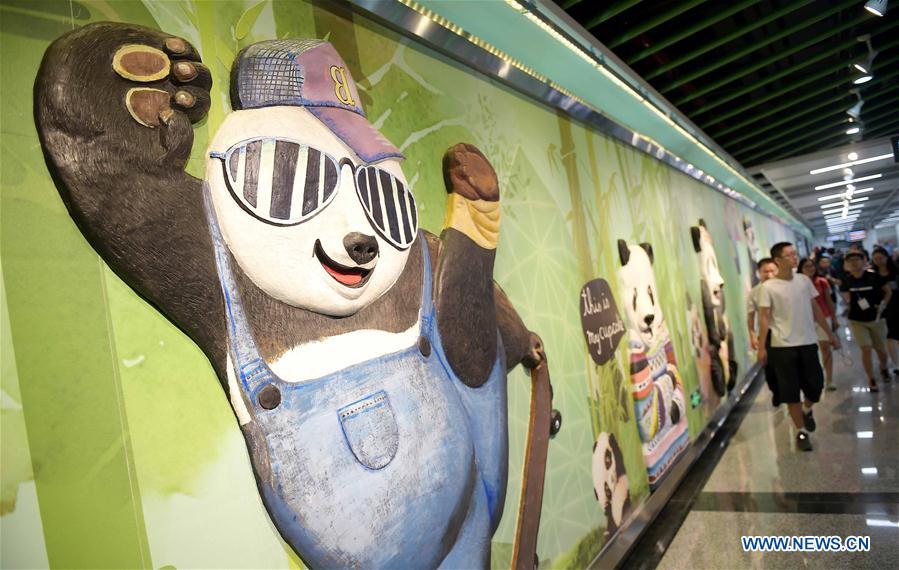 Panda subway train debuts in bear's home province