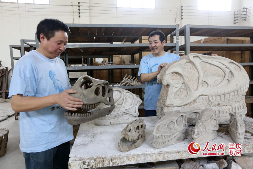 Dinosaurs’ 'beauticians' describe rewards of fossil restoration