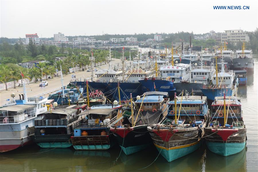 Typhoon Nida leaves fishermen idle in S China