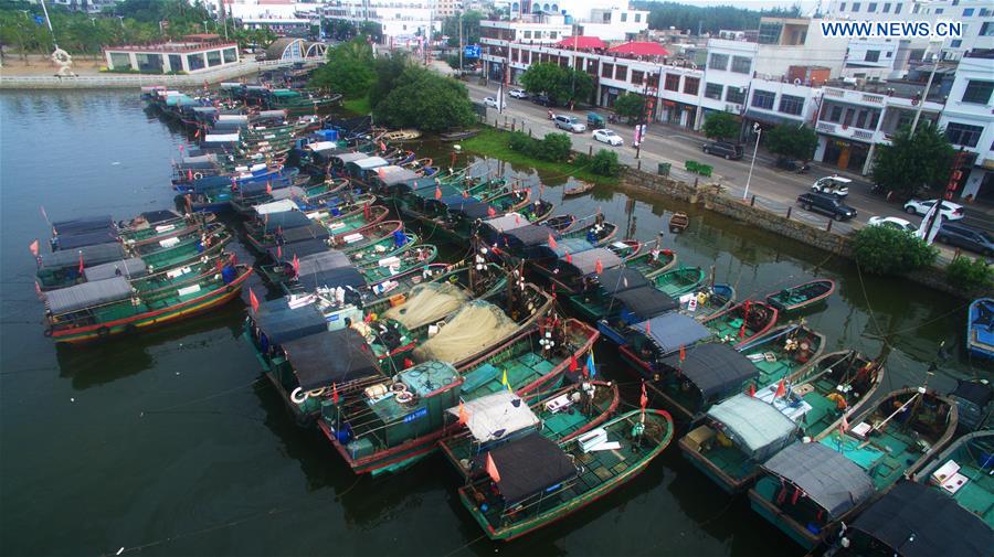 Typhoon Nida leaves fishermen idle in S China