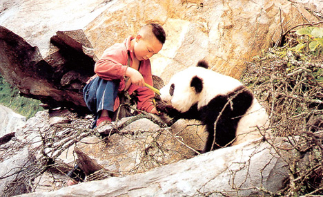 People and landscape of giant panda sanctuary Baoxing