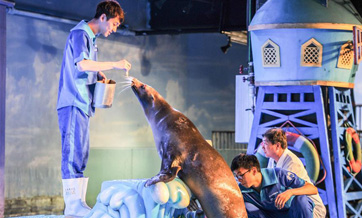 Harbin Polarland invites doctor to examine sea lion