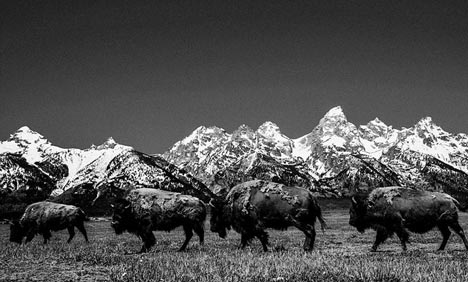 The beauty of America's greatest landscapes