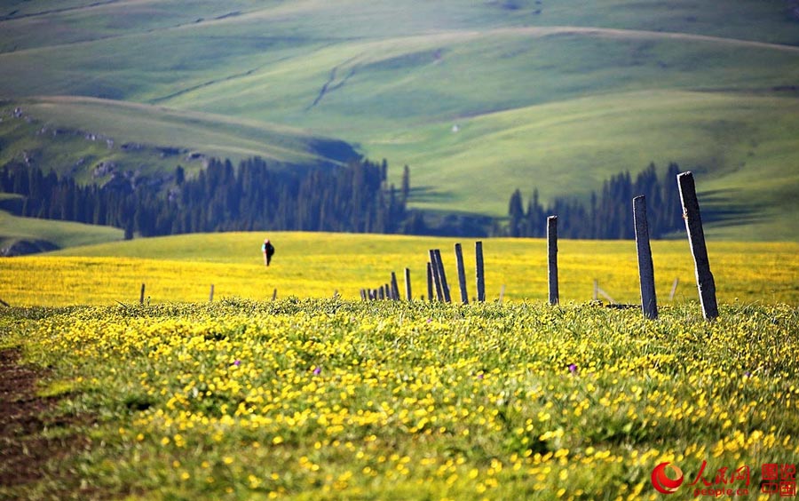 Xingjiang's idyllic Kalajun Prairie