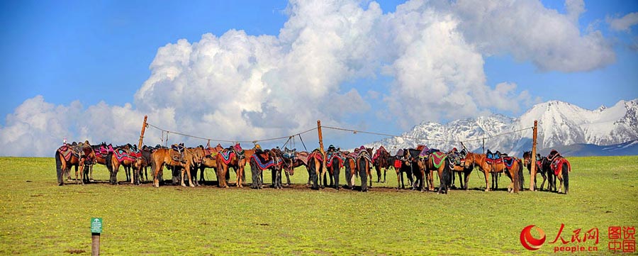Xingjiang's idyllic Kalajun Prairie