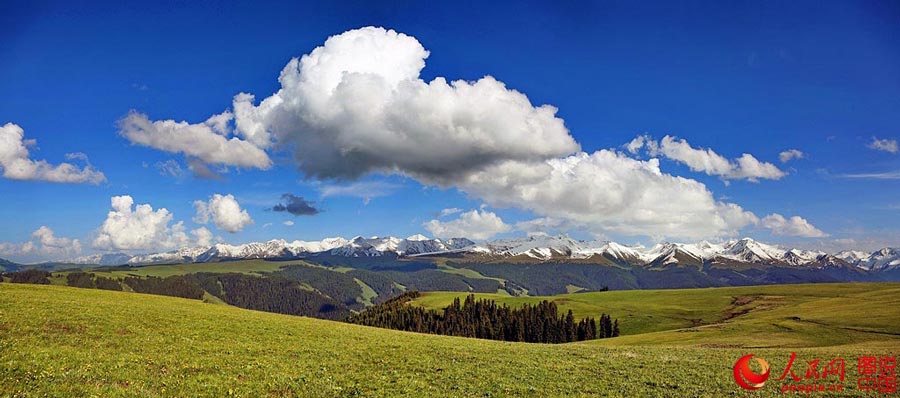 Xingjiang's idyllic Kalajun Prairie